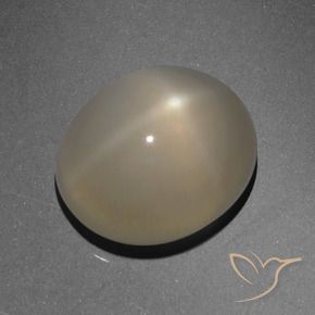 Pierre de lune étoilée Marron clair naturelle ovale, 6.13 ct, Translucide