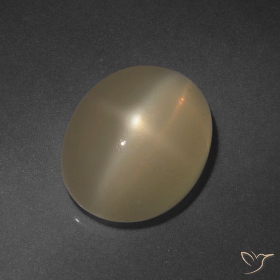 6.37ct Naturel Marron clair Pierre de lune étoilée, ovale, Translucide