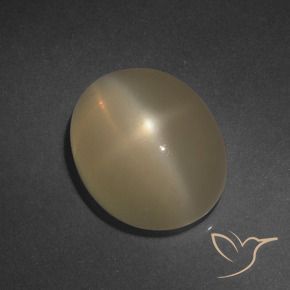 Pierre de lune étoilée Marron clair naturelle ovale, 6.37 ct, Translucide