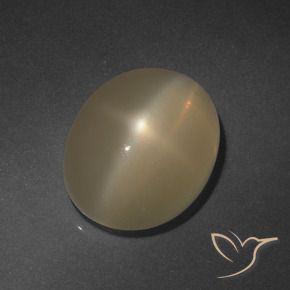 Pierre de lune étoilée Marron clair naturelle ovale, 6.37 ct, Translucide