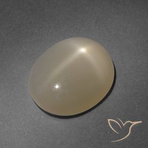 Pierre de lune étoilée Brun pâle naturelle ovale, 4.99 ct, Translucide