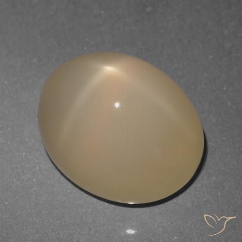5.74ct Naturel Brun pâle Pierre de lune étoilée, ovale, Translucide, Photo A