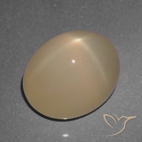 Pierre de lune étoilée Brun pâle naturelle ovale, 5.74 ct, Translucide