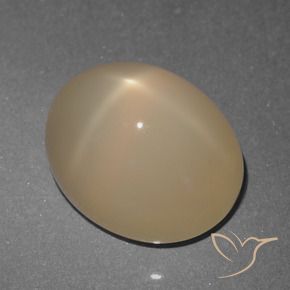 Pierre de lune étoilée Brun pâle naturelle ovale, 5.74 ct, Translucide