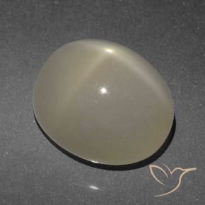Pierre de lune étoilée Marron clair naturelle ovale, 6.84 ct, Translucide