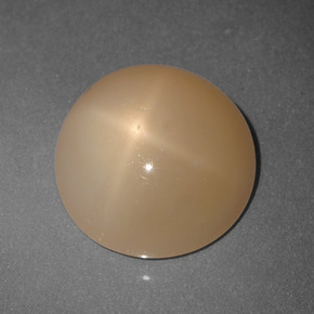 Pierre de lune étoilée Orange cantaloup naturelle Coupe roude, 5.65 ct, Translucide
