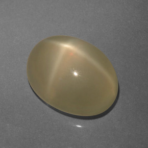 Pierre de lune étoilée Crème naturelle Coupe ovale, 6.48 ct, Translucide