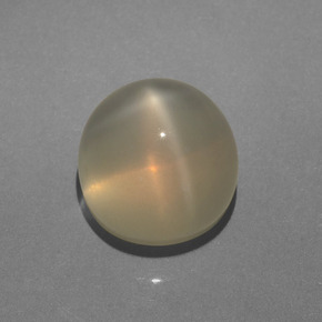 Pierre de lune étoilée crème naturelle coupe roude, 6,28 ct, translucide