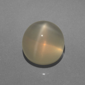 Pierre de lune étoilée crème naturelle coupe roude, 6,28 ct, translucide