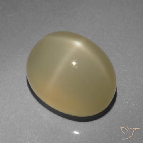 6.64ct Naturel Marron très clair Pierre de lune étoilée, ovale, Translucide, Photo A