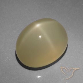 Pierre de lune étoilée Marron très clair naturelle ovale, 6.64 ct, Translucide