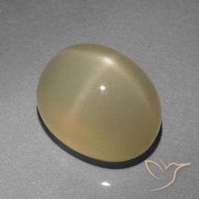 Pierre de lune étoilée Marron très clair naturelle ovale, 6.64 ct, Translucide