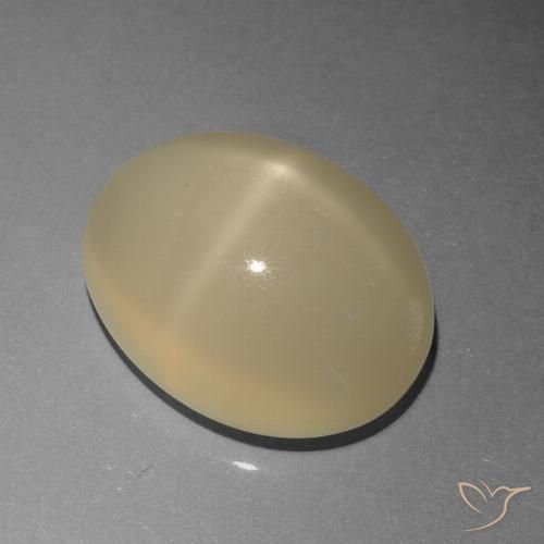 6.77ct Naturel Brun café léger Pierre de lune étoilée, ovale, Translucide, Photo A