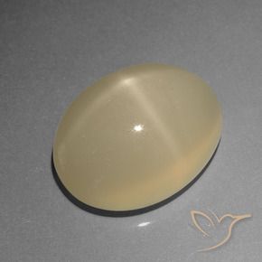 Pierre de lune étoilée Brun café léger naturelle ovale, 6.77 ct, Translucide