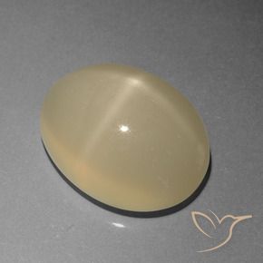 Pierre de lune étoilée Brun café léger naturelle ovale, 6.77 ct, Translucide