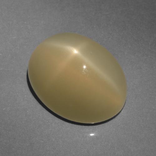 Pierre de lune étoilée marron naturelle coupe ovale, 6,64 ct, translucide