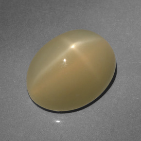 Pierre de lune étoilée marron naturelle coupe ovale, 6,64 ct, translucide