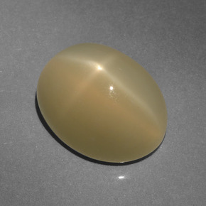 Pierre de lune étoilée marron naturelle coupe ovale, 6,64 ct, translucide