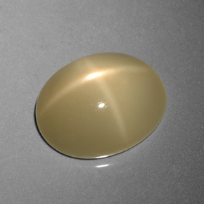 Pierre de lune étoilée Brun café léger naturelle Coupe ovale, 8.95 ct, Translucide