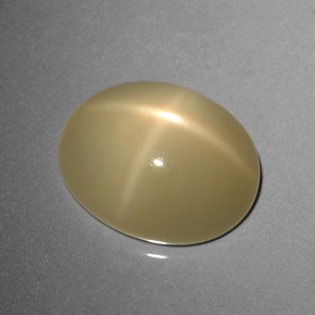 Pierre de lune étoilée Brun café léger naturelle Coupe ovale, 8.95 ct, Translucide