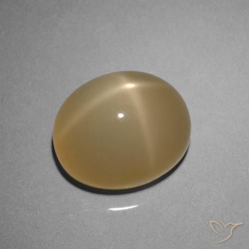 8.51ct Naturel Marron jaunâtre Pierre de lune étoilée, ovale, Translucide, Photo A