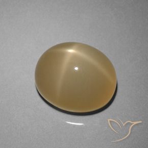 Pierre de lune étoilée Marron jaunâtre naturelle ovale, 8.51 ct, Translucide