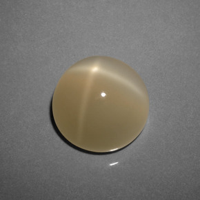 Pierre de lune étoilée marron naturelle coupe roude, 8,73 ct, translucide