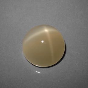 Pierre de lune étoilée marron naturelle coupe roude, 8,73 ct, translucide