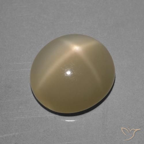 6.68ct Naturel Brun jaune léger Pierre de lune étoilée, ovale, Translucide, Photo A