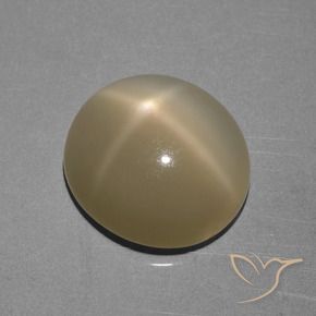 Pierre de lune étoilée Brun jaune léger naturelle ovale, 6.68 ct, Translucide