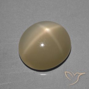 Pierre de lune étoilée Brun jaune léger naturelle ovale, 6.68 ct, Translucide