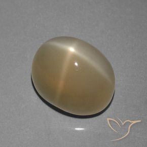 Pierre de lune étoilée Brun pâle naturelle ovale, 8.39 ct, Translucide