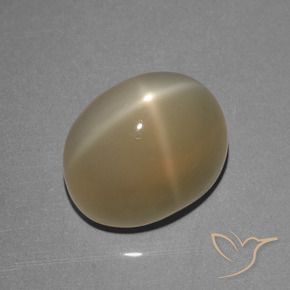 Pierre de lune étoilée Brun pâle naturelle ovale, 8.39 ct, Translucide
