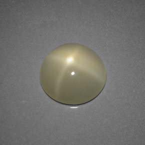 Pierre de lune étoilée crème naturelle coupe roude, 3,68 ct, translucide