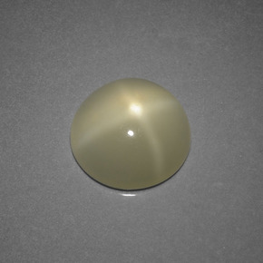 Pierre de lune étoilée crème naturelle coupe roude, 3,68 ct, translucide