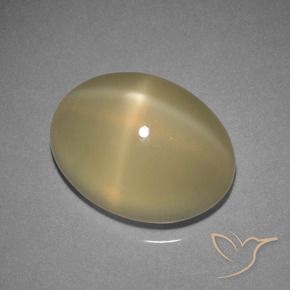 Pierre de lune étoilée Brun chaud et léger naturelle ovale, 7.29 ct, Translucide