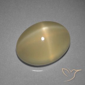 Pierre de lune étoilée Brun chaud et léger naturelle ovale, 7.29 ct, Translucide
