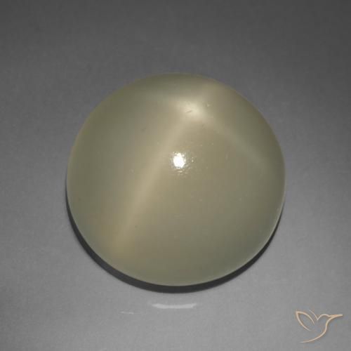 9.02ct Naturel Brun terre Pierre de lune étoilée, Tour, Translucide