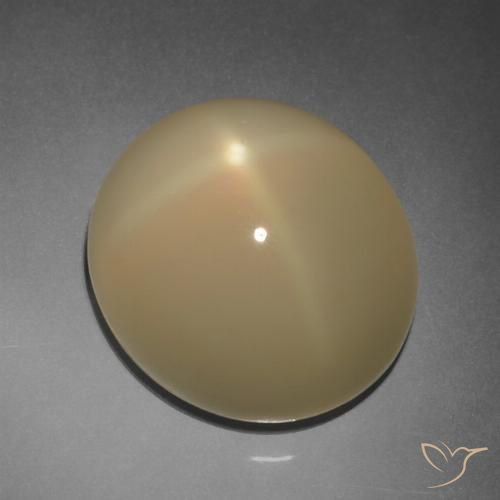 11.20ct Naturel Brun tortilla léger Pierre de lune étoilée, ovale, Translucide