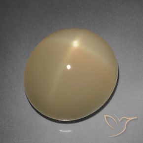 Pierre de lune étoilée Brun tortilla léger naturelle ovale, 11.20 ct, Translucide