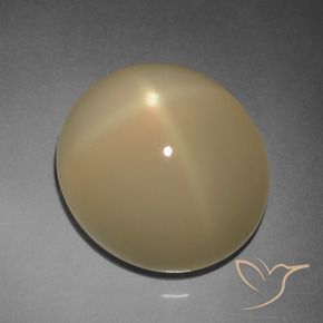 Pierre de lune étoilée Brun tortilla léger naturelle ovale, 11.20 ct, Translucide