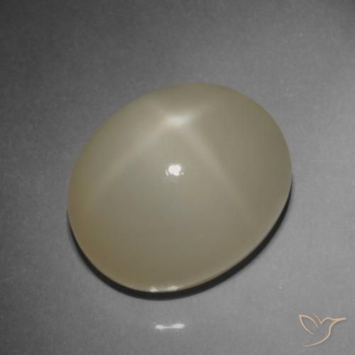 Pierre de lune étoilée Brun café léger naturelle ovale, 9.42 ct, Translucide