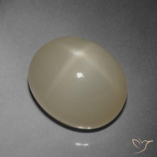 Pierre de lune étoilée Brun café léger naturelle ovale, 9.42 ct, Translucide