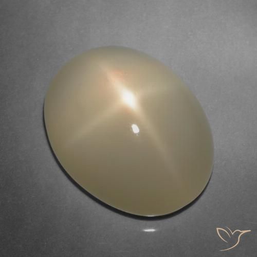 Pierre de lune étoilée Brun pâle naturelle Coupe ovale, 9.91 ct, Translucide