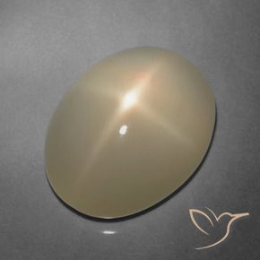Pierre de lune étoilée Brun pâle naturelle Coupe ovale, 9.91 ct, Translucide