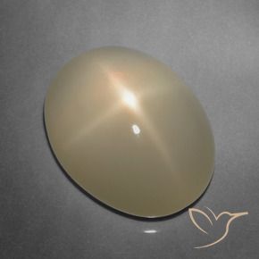 Pierre de lune étoilée Brun pâle naturelle Coupe ovale, 9.91 ct, Translucide