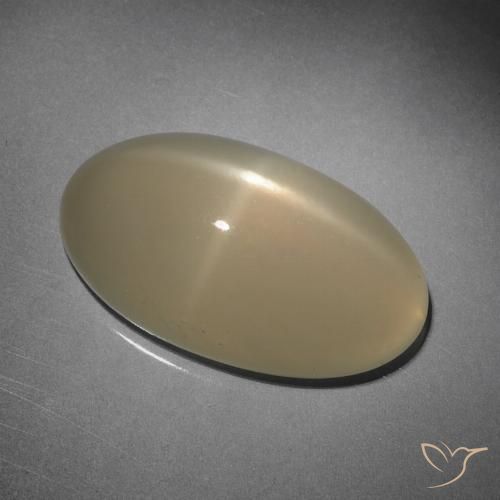 10.15ct Naturel Brun pâle Pierre de lune étoilée, ovale, Translucide