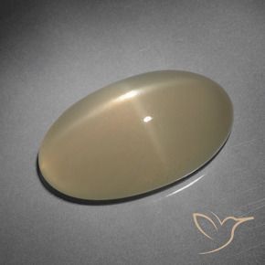 Pierre de lune étoilée Brun pâle naturelle ovale, 10.15 ct, Translucide
