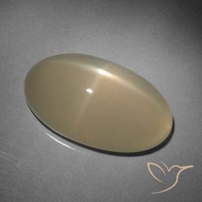 Pierre de lune étoilée Brun pâle naturelle ovale, 10.15 ct, Translucide
