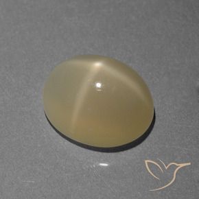 Pierre de lune étoilée Brun pâle naturelle ovale, 7.12 ct, Translucide